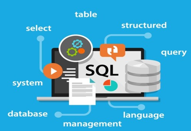 SQL Nedir? SQL Ne İşe Yarar?